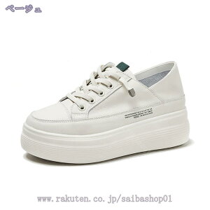 _X Xj[J[ fB[X nCJbg  x[W y Xj[J[ Cq[ nCJbgXj[J[ w C V[NbgV[Y [XAbv Xj[J[ ʋ ʊw ɂ