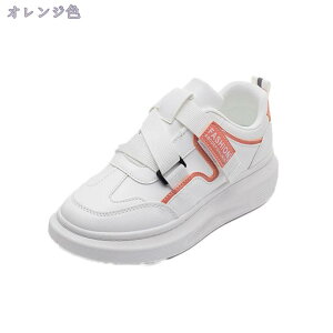 _bhXj[J[ fB[X Xj[J[ X|[c jOV[Y bV ʋC RtH[gV[Y JWA ʋΌC ʊwC r EH[LOV[Y i[XV[Y 