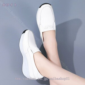 1000~OFFN[| fB[X fC[V[Y  ᔽ Ղ ~ ɂ ӂƌy EhgD O[  [t@[ ~ZXt@bV s Ԏd 22.5c