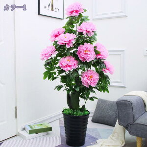 1000~OFFN[| lHϗtA CeA Ԃ  sIj[  tFCNO[ rO  ItBX x_ ׍HJ  p[eB[ { ډB p 