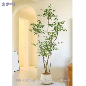 2000~OFFN[| ^ lHϗtA CeA V| ie { tFCNO[  ׂ} @ׂȗt ͂Ȃ i`  ItBX fR[V Vzj 