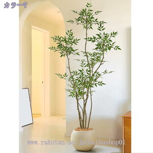 2000~OFFN[| ^ lHϗtA CeA V| ie { tFCNO[  ׂ} @ׂȗt ͂Ȃ i`  ItBX fR[V Vzj 