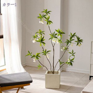 2000~OFFN[| tFCNO[ ^ip tFCNΞ lH~ n  ItBX zer[ a_ RȎ yʐ݌v { AȐFƎ gݗĊȒP 