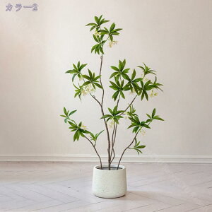 2000~OFFN[| ^ϗtA lHΞ ~YoVE tFCNc[ rO  CeAO[  Ǝ{ݑΉ eiXt[  ItBX CeA Xܑ fB