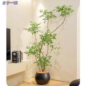 2000~OFFN[| ^lHV| tFCNO[ rO er{[h R[i[  N sv Ǝ{ݑΉ lHϗt ϗtA p  Vv ItBX 