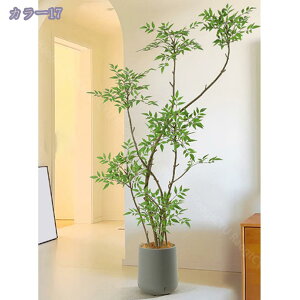 2000~OFFN[| ^lHV| tFCNO[ rO er{[h R[i[  N sv Ǝ{ݑΉ lHϗt ϗtA p  Vv ItBX 