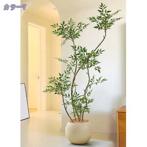 ^lHV| tFCNO[ rO er{[h R[i[  N sv Ǝ{ݑΉ lHϗt ϗtA p  Vv ItBX 160cm RaogtCYU