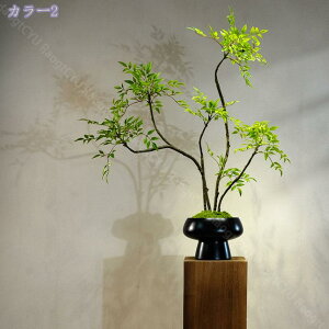 lHϗtA ԕrt V|  N ̂ю A CeA ͂Ȃ Cɖ ʐ^wi Be A DIY ֏ t͋̕C Bep   RaogtCYU