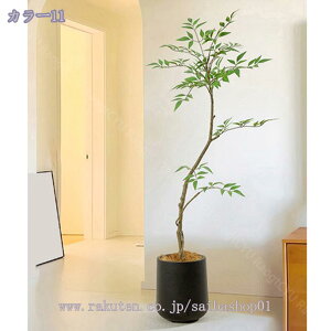 1000~OFFN[| ^ lHϗtA tFCNO[ ϗt  pL 110cm ChA z[fR[V  rO ItBX CeA X^h A CeAO[