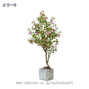 tFCNO[ ^    x_ JtF  ItBX x_  ze RȎp lH~͐A ȒP sv Q̐SzȂ ͂Ȃ RaogtCYU