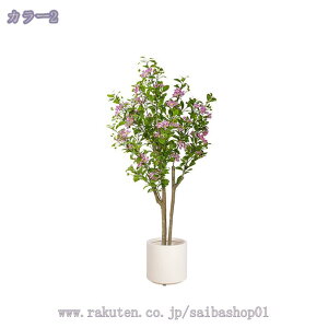 2000~OFFN[|   lHϗtA ^ CeA A  rO ItBX rO X fBXvC ͂Ȃ lHϗtA X^h^Cv CeA ~͐A