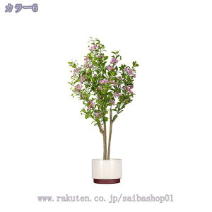   lHϗtA ^ CeA A  rO ItBX rO X fBXvC ͂Ȃ lHϗtA X^h^Cv CeA ~͐A ׂ} RaogtCYU