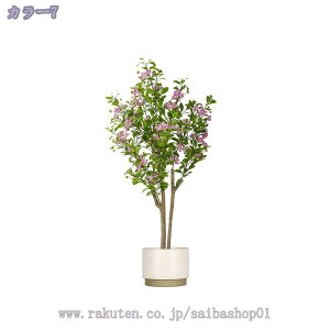 tFCNO[ ^   A  rO ItBX a_ CeAO[ ^ X fBXvC i sv K Vzj JƏj N RaogtC