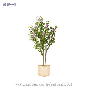 2000~OFFN[| tFCNO[ ^   A  rO ItBX a_ CeAO[ ^ X fBXvC i sv K Vzj J