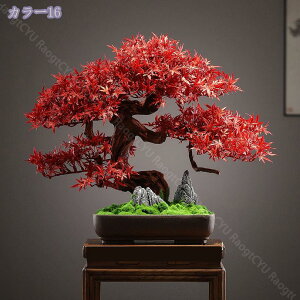 2000~OFFN[| }q~ lHϗtA u tFCNO[ {  }̊px\ sv ͂Ȃ DIY zj Vzj X܏ ϑސF ό