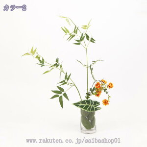 1000~OFFN[|  lHϗtA CeA  N ̂ю  a ItBX  |[`  ړ] Ή ֑ Ƃ̑ ΂O RȎp Cɖ f