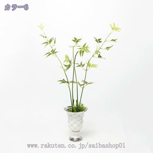 1000~OFFN[| lHϗtA |̗t ̂ю  IuWG u tFCNO[ CeAO[ T @ׂȗt RȎp Iȑ AȎ fBXvCp Xܗp ItB