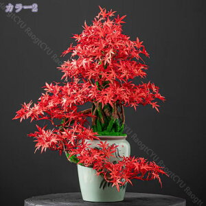 2000~OFFN[| lHϗtA  IuWG u lH}q ~ AȎ}t T  |̗t ϑސF ό   zj Vzj X܏ e[ȗ ֑} 