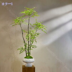 lHϗtA CeAO[N lHV| gt tFCNvc TCY a   ItBX  CeAO[ sv Ԕ zj Vzj