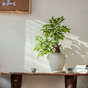 lHϗtA V| Ԃt lH~ ~jTCY TeCXg rO   ItBX iX CeA tFCNO[ a_ MtgΉ  fBXvC[ Vzj R