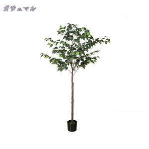 2000~OFFN[| lHϗtA tFCNO[ ϗtA ^ CeA  tFCNO[ { j JX JƏj ^  ^ϗtA i` A 