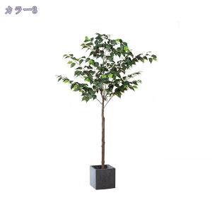 2000~OFFN[| tFCNO[ ^ lHϗtA tFCNϗtA A   i` A  rO ZW ItBX  Vz JX J z a Cx