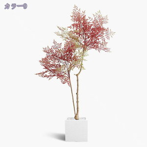 2000~OFFN[| [J lHϗtA tFCNO[ ^ t Vv A lHA lHϗt  CeA  rO ItBX JXj Vzj zj tFC