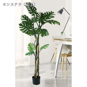 �t�F�C�N�O���[�� ��^�ϗt�� �C���e���A �l�H�ϗt�A�� ������� �l�H�ϗt�A�� ���� ���A�� �V���v�� �I�t�B�X ���� �J�t�F BAR ���� ���� ���r���O �Q�� �t�F�C�N�O���[�� �l�H�ϗt�� �t�F�C