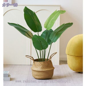 lHϗtA tFCNO[ ^  CeA O sv ͂Ȃ ~͐A Vzj Xg`AEMl ̓ ̓ Mtg Ղ 蕨 v[g   J