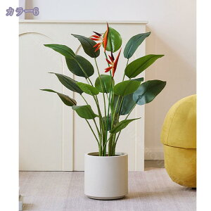 1000~OFFN[| lHϗtA tFCNO[ ^  CeA O sv ͂Ȃ ~͐A Vzj Xg`AEMl ̓ ̓ Mtg Ղ 蕨 v[g 