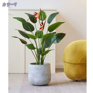 1000~OFFN[| lHϗtA tFCNO[ ^  CeA O sv ͂Ȃ ~͐A Vzj Xg`AEMl ̓ ̓ Mtg Ղ 蕨 v[g 