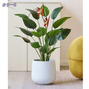 lHϗtA CeA tFCNO[  A ډB p { tFCNc[ ItBX  X  JXj JƏj  tFCNO[  lH