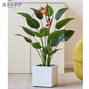 1000~OFFN[| lHϗtA tFCNO[ ^  CeA O sv ͂Ȃ ~͐A Vzj Xg`AEMl ̓ ̓ Mtg Ղ 蕨 v[g 