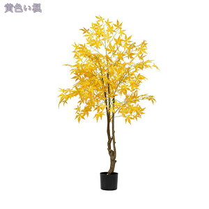 2000~OFFN[| lHϗtA CeA ^  RŃA  ^ϗt  z[ x_ p [̗ ׍HJ Iȑ ȒP sv Q̐Sz