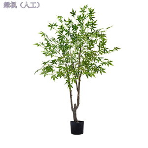 1000~OFFN[| lHϗtA CeA ^  RŃA  ^ϗt  z[ x_ p [̗ ׍HJ Iȑ ȒP sv Q̐Sz