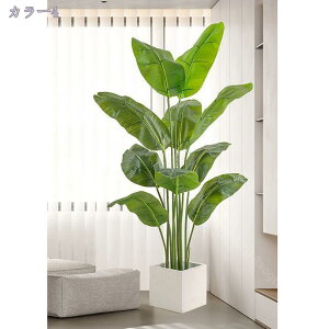 2000~OFFN[| lHϗtA CeA ^  RŃA  lHϗtA ^ϗt tFCN   z[Ex_E p [̗ ׍HJ Iȑ 