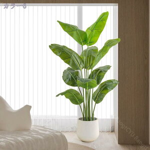 1000~OFFN[| lHϗtA CeA ^  RŃA  lHϗtA ^ϗt tFCN   z[Ex_E p [̗ ׍HJ Iȑ 