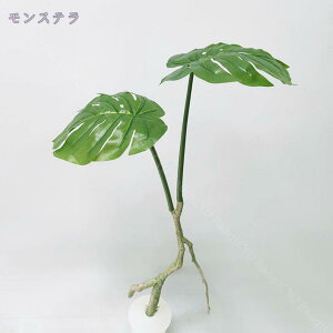 2000~OFFN[| tFCNO[ ^ ϗtA tFCNc[ A lH lH i` A lHϗtA ItBX rO CeA A 傫  킢 l