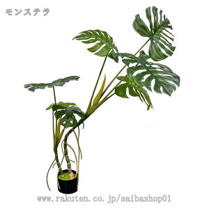 1000~OFFN[| lHϗtA CeA ^  RŃA  ^ϗt  z[ x_ p [̗ ׍HJ Iȑ ȒP sv Q̐Sz