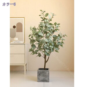 2000~OFFN[| ^ lHϗtA { tFCNO[  ƒ 悯oRj[ z[ x_ ͂Ȃ i` ~͐A gsJA t Ύ tFCNO