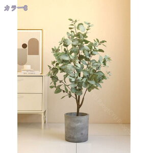 2000~OFFN[| ^ lHϗtA { tFCNO[  ƒ 悯oRj[ z[ x_ ͂Ȃ i` ~͐A gsJA t Ύ tFCNO