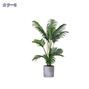 ^ lHϗtA { tFCNO[  ƒ 悯oRj[ z[ x_ ͂Ȃ i` ~͐A gsJA t Ύ tFCNO[ Iȑ