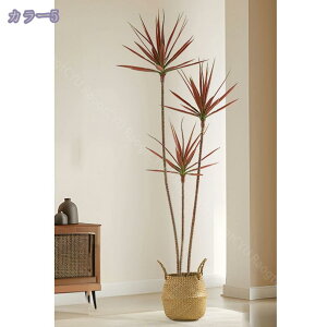 2000~OFFN[| lHϗtA tFCNO[ ϗtA ^ CeA  tFCNO[ { j JX JƏj ^  ^ϗtA tFCN i`