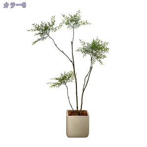 ^ lHϗtA tFCNO[ ϗtA CeA  JXj JƏj tFCNO[  ϗtA tFCN i` A lHϗtA  tFCNO[