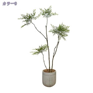 2000~OFFN[| ^ lHϗtA tFCNO[ ϗtA CeA  JXj JƏj tFCNO[  ϗtA tFCN i` A lHϗtA 