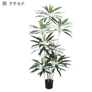 1000~OFFN[| Ύ lHϗtA ^  tFCNO[ ϗt  rO CeA ډB p sv ͂Ȃ i` Iȑ gsJA tFCN