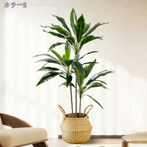 2000~OFFN[| Ύ lHϗtA ^  tFCNO[ ϗt  rO CeA ډB p sv ͂Ȃ i` Iȑ gsJA tFCN