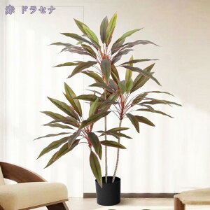 2000~OFFN[| Ύ lHϗtA ^  tFCNO[ ϗt  rO CeA ډB p sv ͂Ȃ i` Iȑ gsJA tFCN