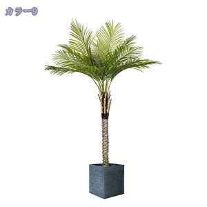 2000~OFFN[| lHϗtA tFCNO[ ϗtA ^ CeA  tFCNO[ { j JX JƏj ^  ^ϗtA tFCN i`