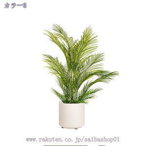 Ύ tFCNO[ ^ {  lHϗtA tFCN A   i` Vzj JXj JƏj a Cxg  rO  CeA 